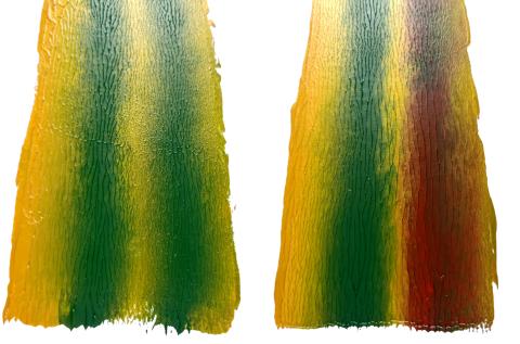 Ladies Frame Close-up Bottom